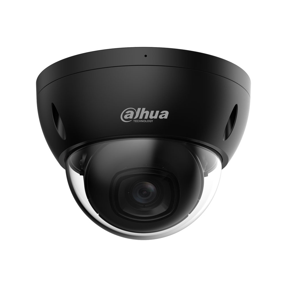 DAHUA-4589.jpg